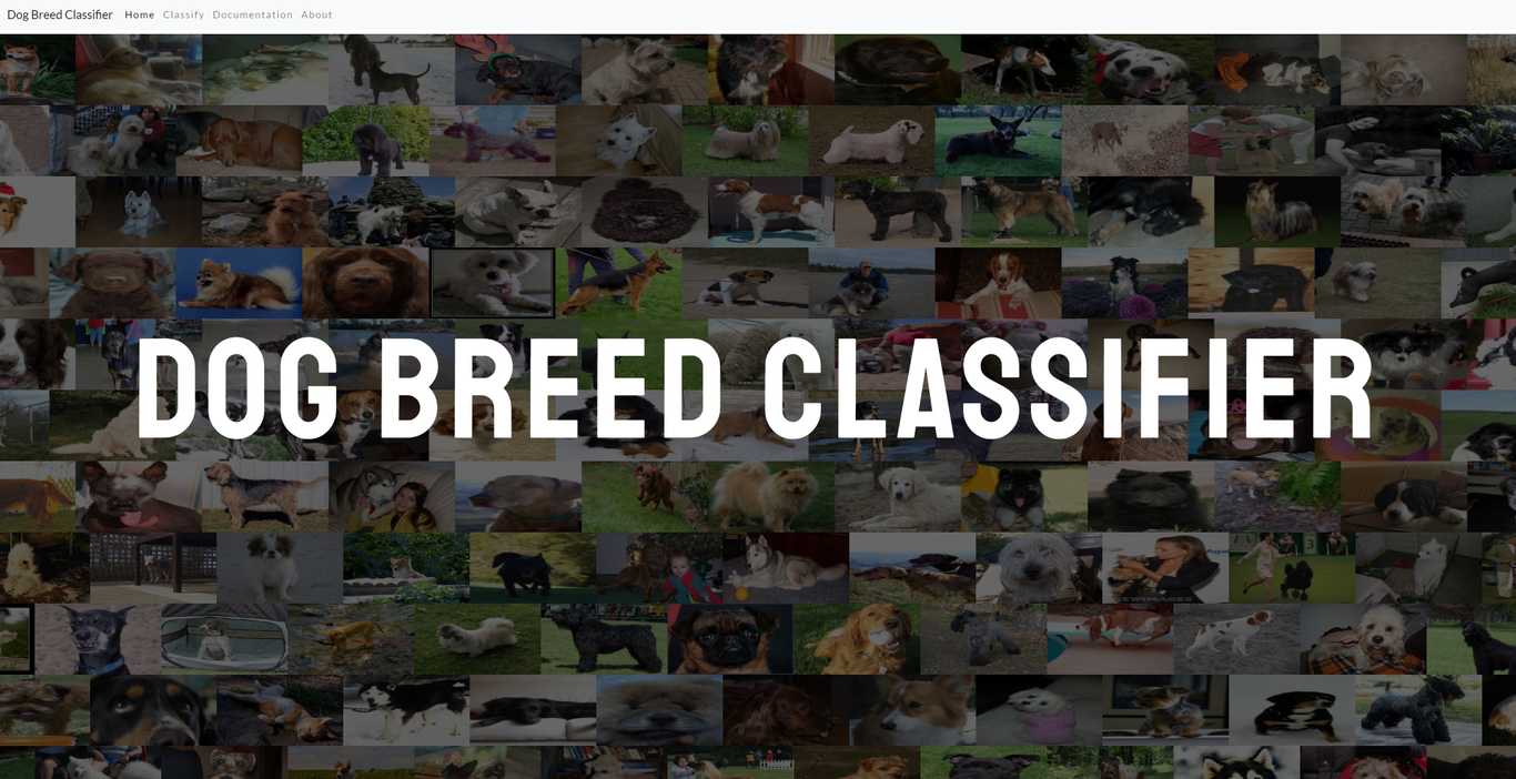 Dog Breed Classifier